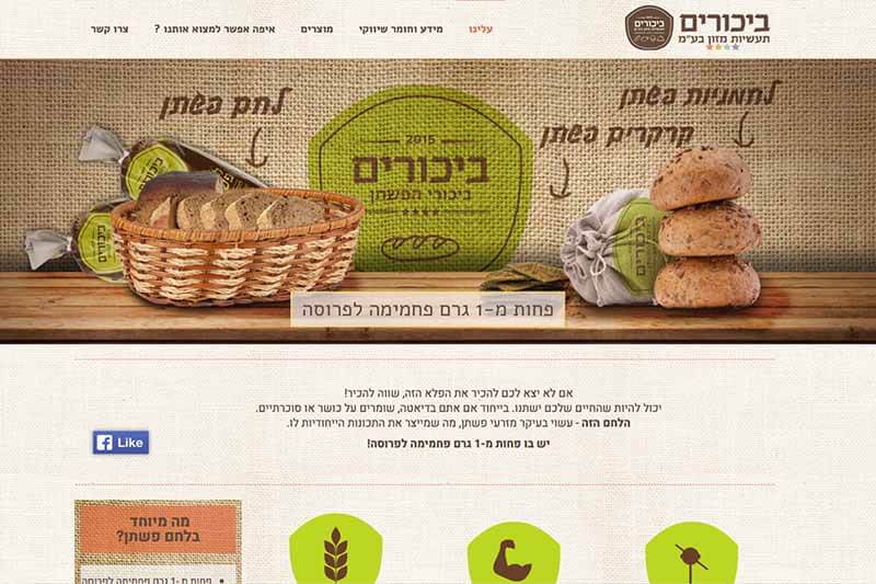 בנית אתר לביכורים